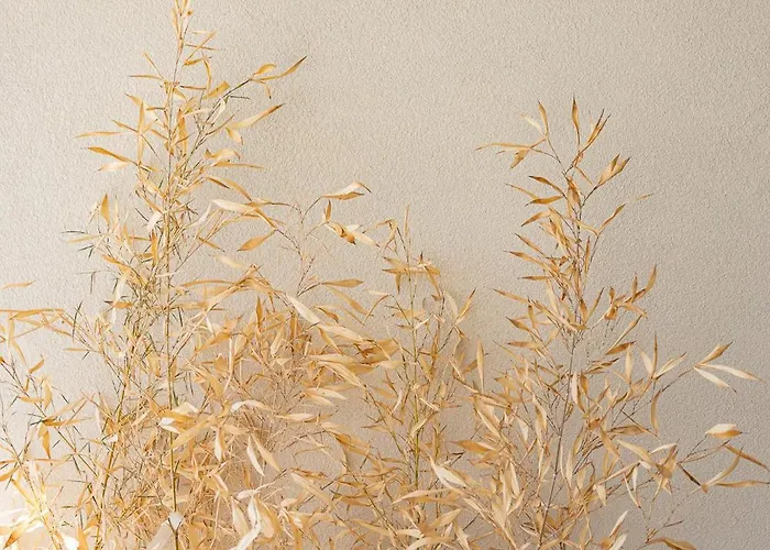 Lägenhet Sirin Luxury - 1st Floor *